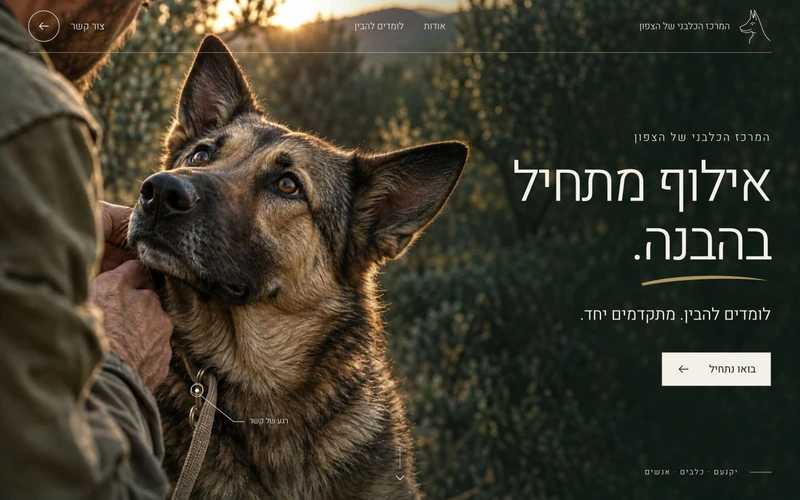 כלב רועים וצילום באור חם בפתיחת אתר המרכז הכלבני של הצפון